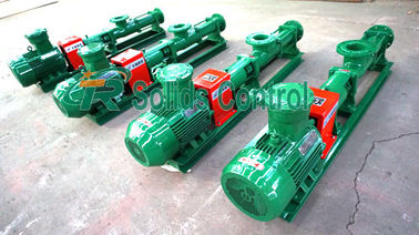 Slurry Screw Type Pump 80m³/H Flow Rate For Centrifuge With 875kg Weight
