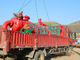 Stable Liquid Gas Separator 180m3/H Capacity DN150mm Output Pipe ISO