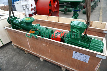 22kw Screw Type Pump